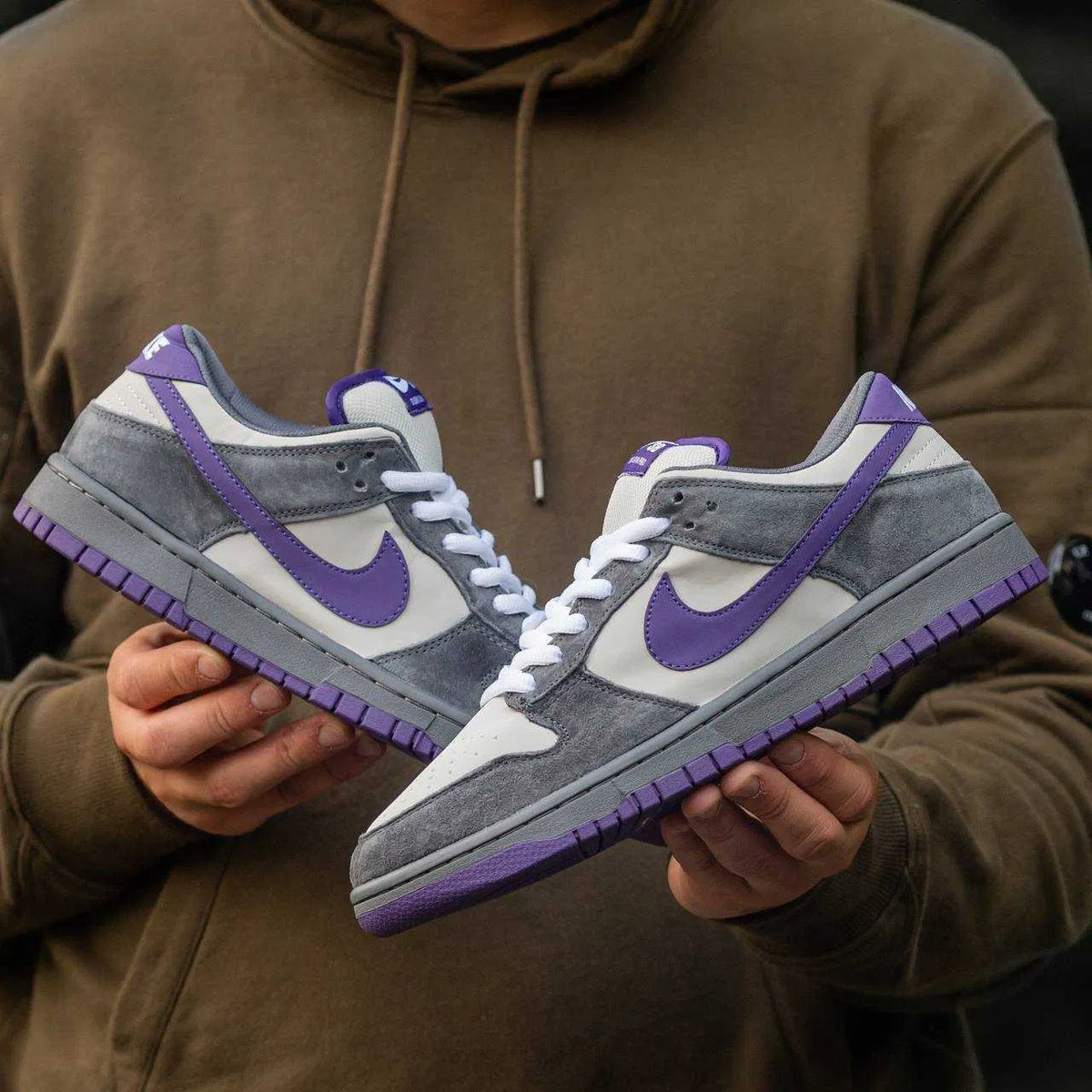 NIKE SB DUNK PURPLE PIGEON